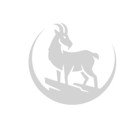 Caprae Capital Partners logo